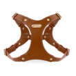 Harness
