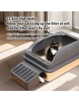 Open Litter Box