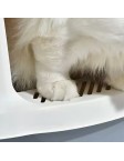 Clean Enclosed Litter Box