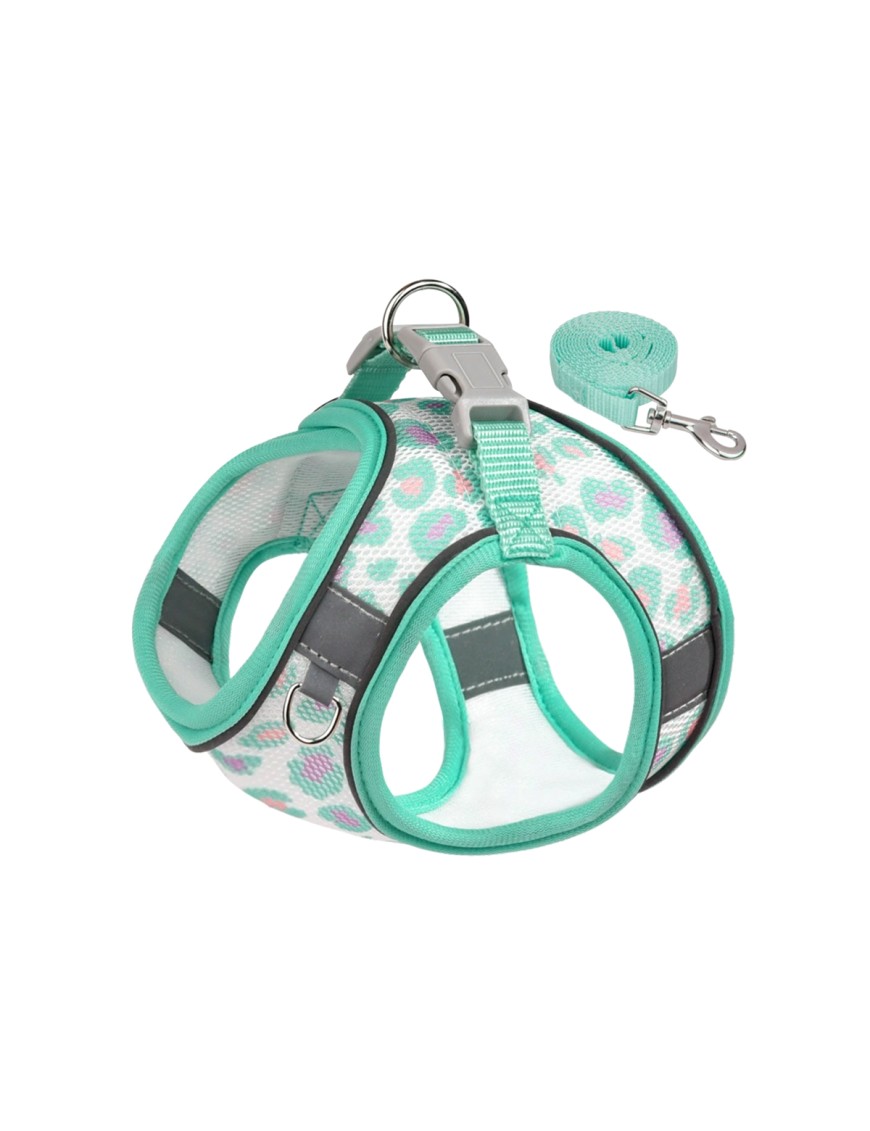 Small Dog Mesh Harness