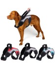 Lightweight and Durable Dog Harness
