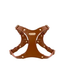Luxury Leather Dog Harness