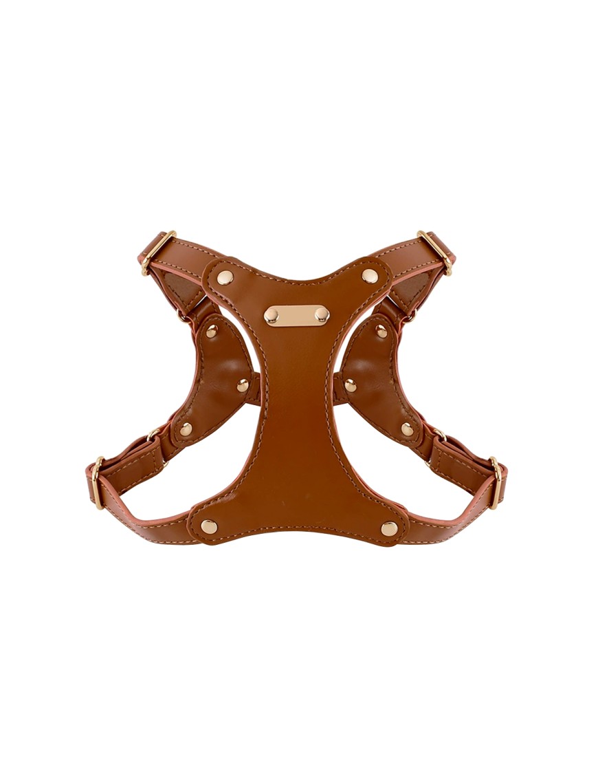 Luxury Leather Dog Harness