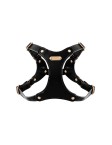 Luxury Leather Dog Harness