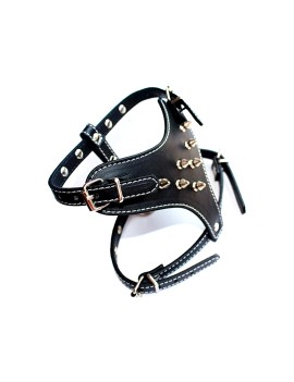 Rivet Decorated Dog Harness