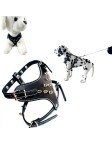 Rivet Decorated Dog Harness