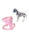 Rivet Decorated Dog Harness