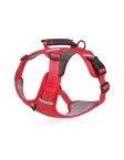 Adjustable Reflective Safety Harness