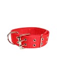 Adjustable Wide Nylon Collar