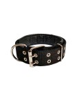 Adjustable Wide Nylon Collar