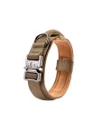 Army Green Pet Collar