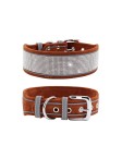 Sparkling Rhinestone Dog Collar