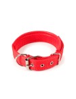 Solid Color Adjustable Nylon Dog Collar
