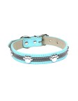 Contrast Stripe Pet Collar