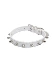 Riveted Spiked Dog Collar