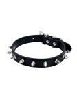 Riveted Spiked Dog Collar