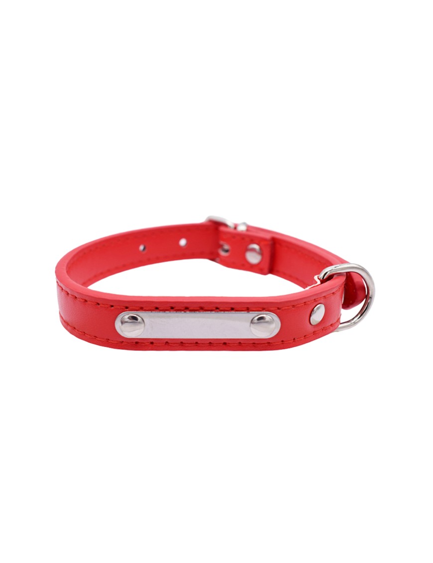 Double Layer PU Pet Collar