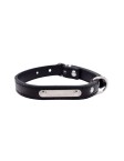 Double Layer PU Pet Collar