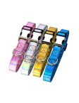 PU Laser Pet Collar