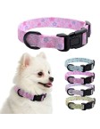 Floral Dog Collar