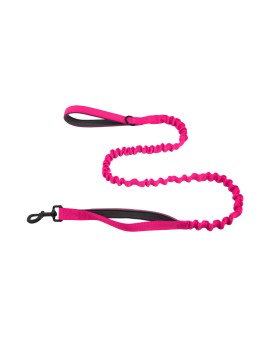 Elastic Cushioned Double Handle Leash