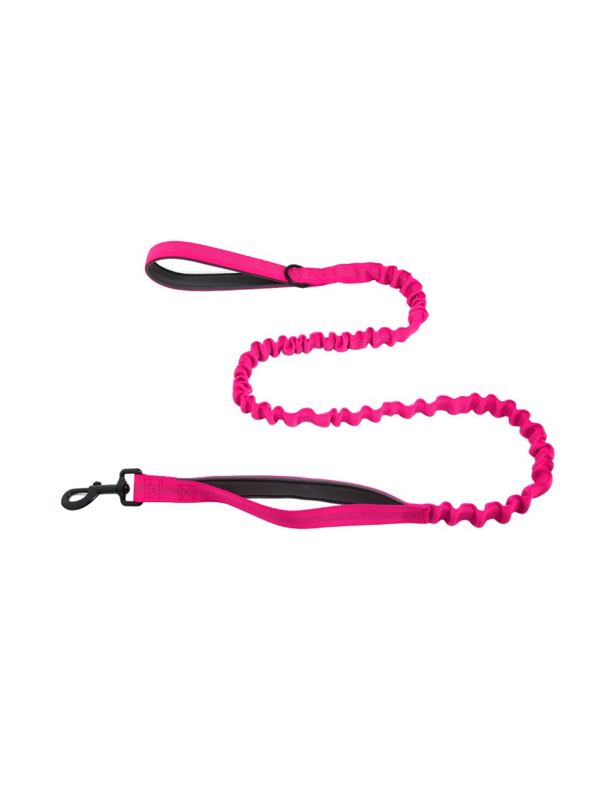 Elastic Cushioned Double Handle Leash
