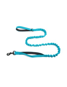 Elastic Cushioned Double Handle Leash