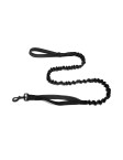 Elastic Cushioned Double Handle Leash