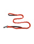 Elastic Cushioned Double Handle Leash