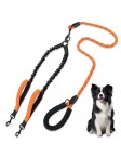 Nylon Double Handle Leash