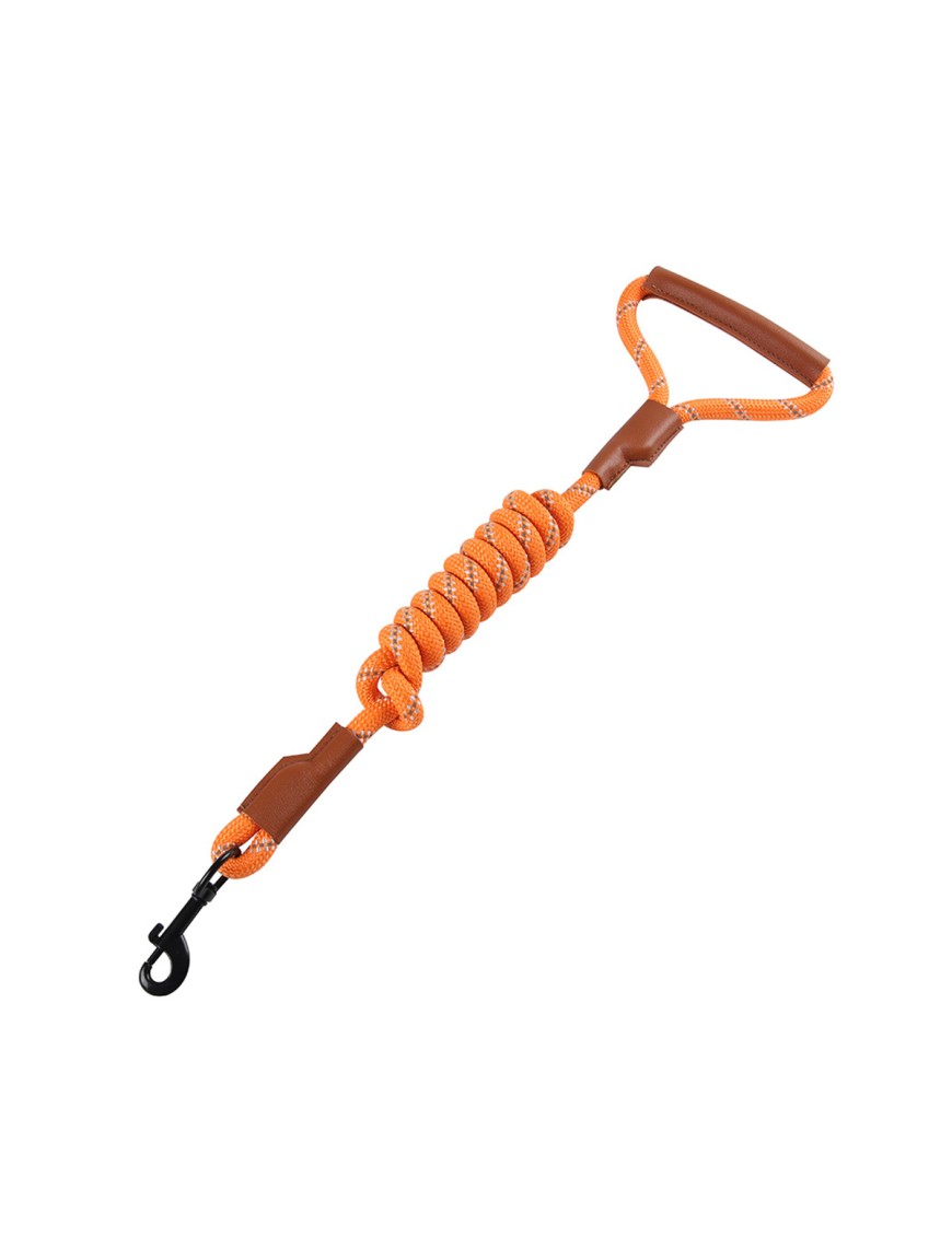 Reflective Dog Leash with Leather Handle