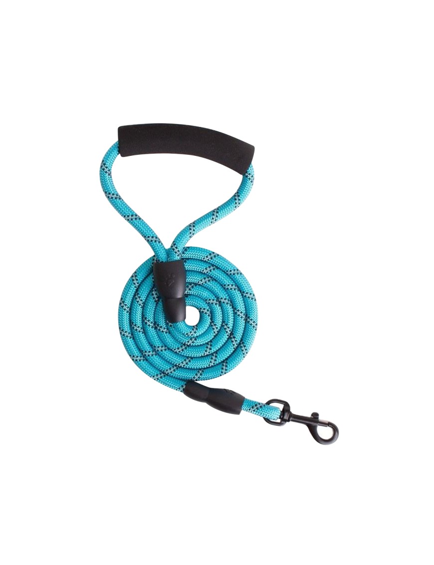 Reflective Nylon Dog Leash