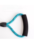 Reflective Nylon Dog Leash