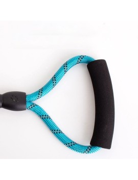 Reflective Nylon Dog Leash