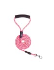 Reflective Nylon Dog Leash