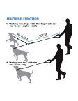 Tangle Free Double Ended Leash