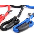 Solid Color Nylon Pet Leash