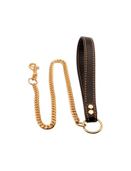 Metal Chain Dog Leash