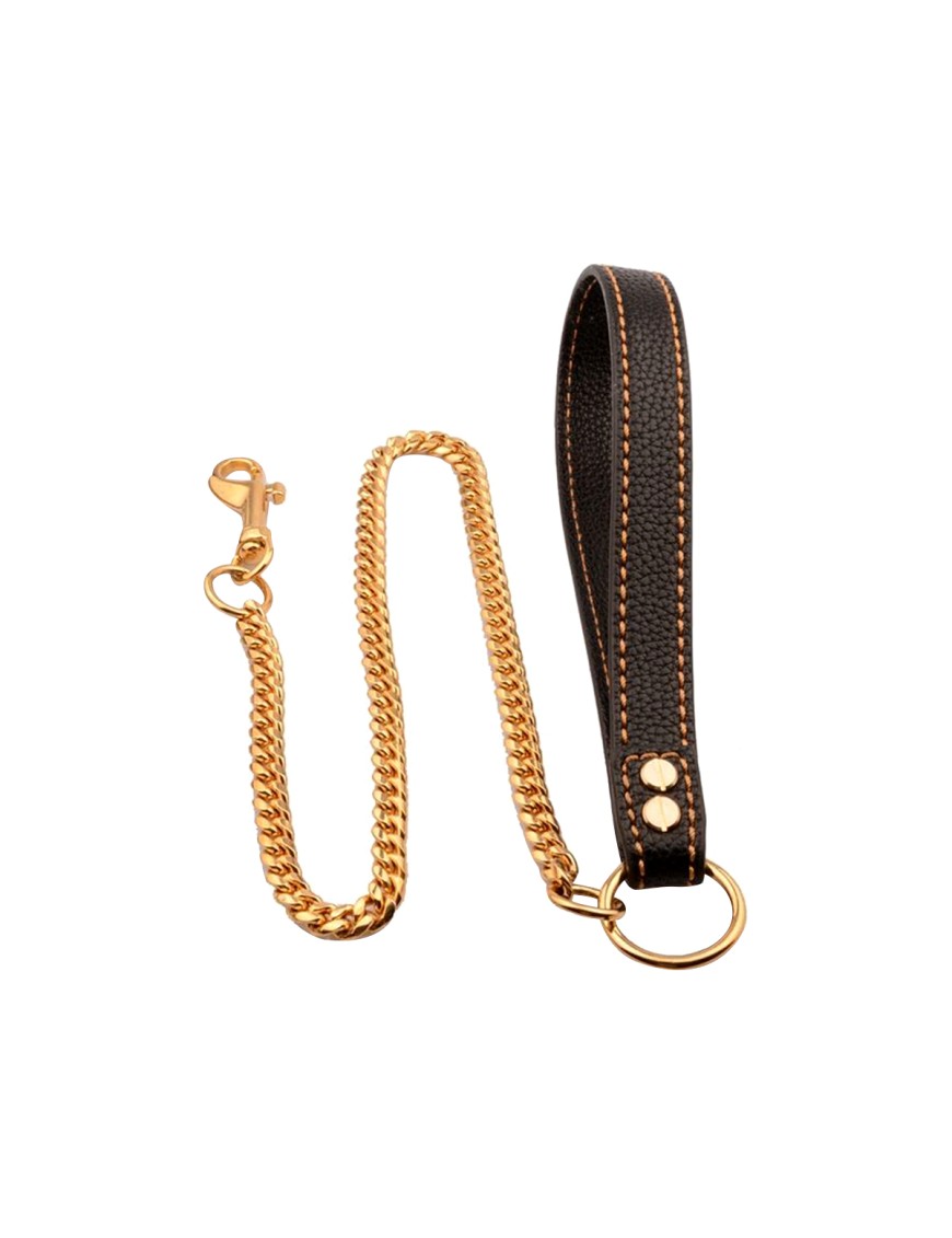 Metal Chain Dog Leash