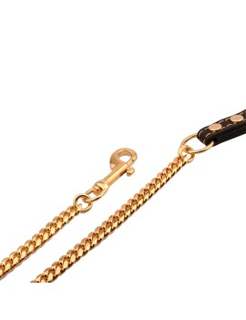 Metal Chain Dog Leash