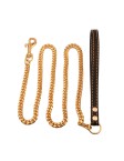 Metal Chain Dog Leash