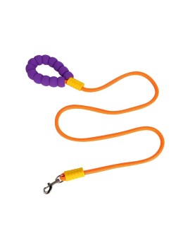 Outdoor Dog Leash