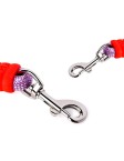 Outdoor Dog Leash
