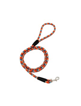 Small Dog Nylon Leash