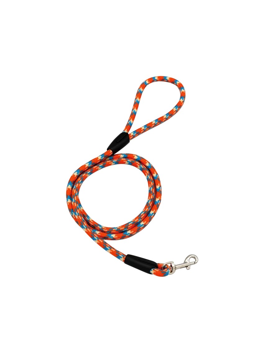 Small Dog Nylon Leash
