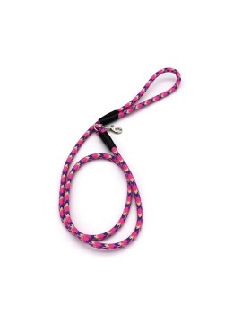 Small Dog Nylon Leash