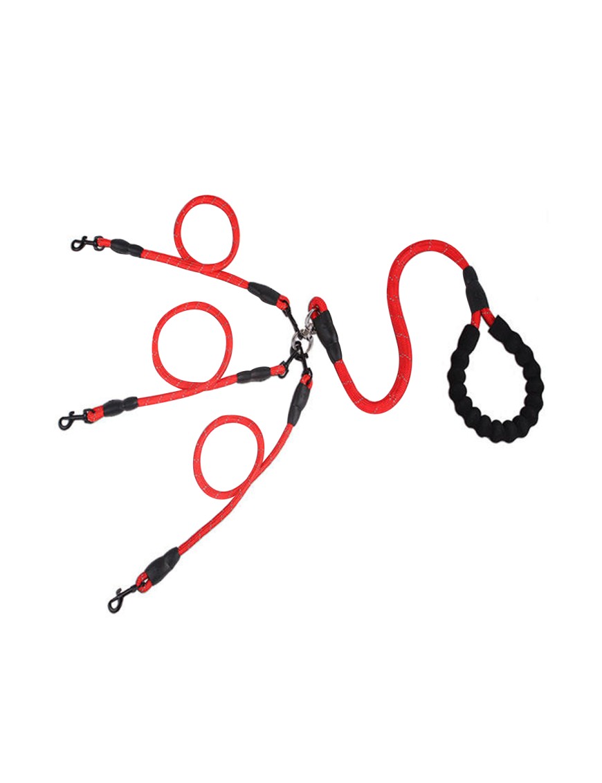 Triple Head Pet Leash
