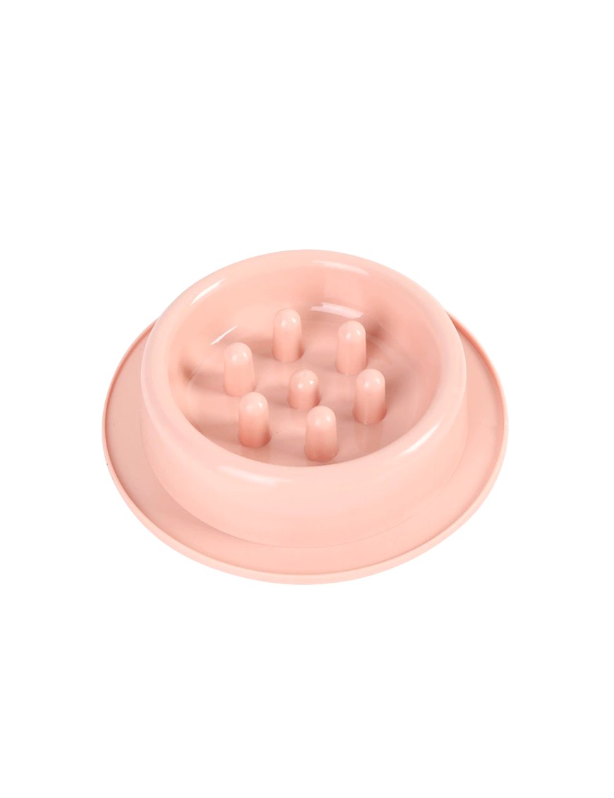 Digestive Aid Pet Slow Feeding Bowl