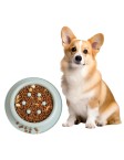 Digestive Aid Pet Slow Feeding Bowl