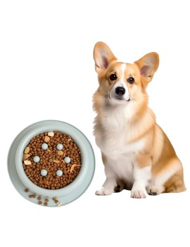 Digestive Aid Pet Slow Feeding Bowl